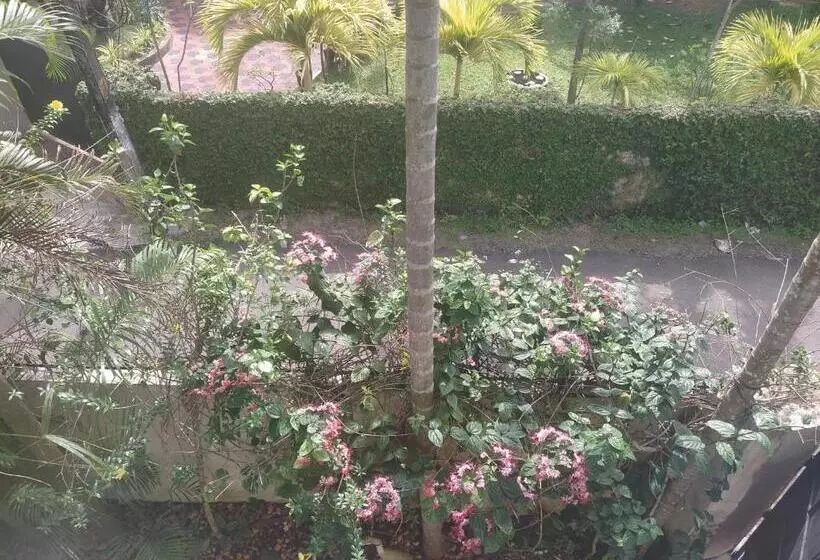 Aamiaismajoitus (B&B) Paradise Inn Guest House
