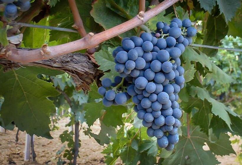 فندق Agriturismo Agrimare Barba