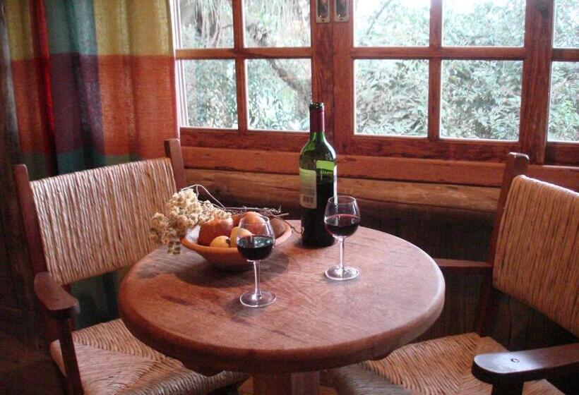 پانسیون Regina Guest House