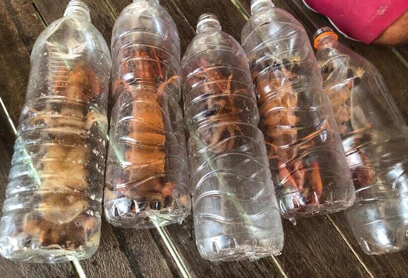 膳宿费 Spheredivers Scuba & Leisure