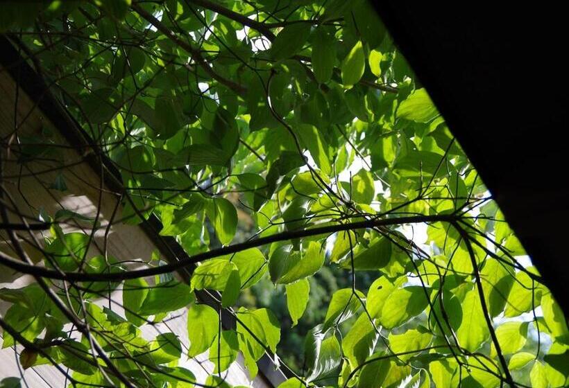 ריוקאן あじ彩の宿小浜荘