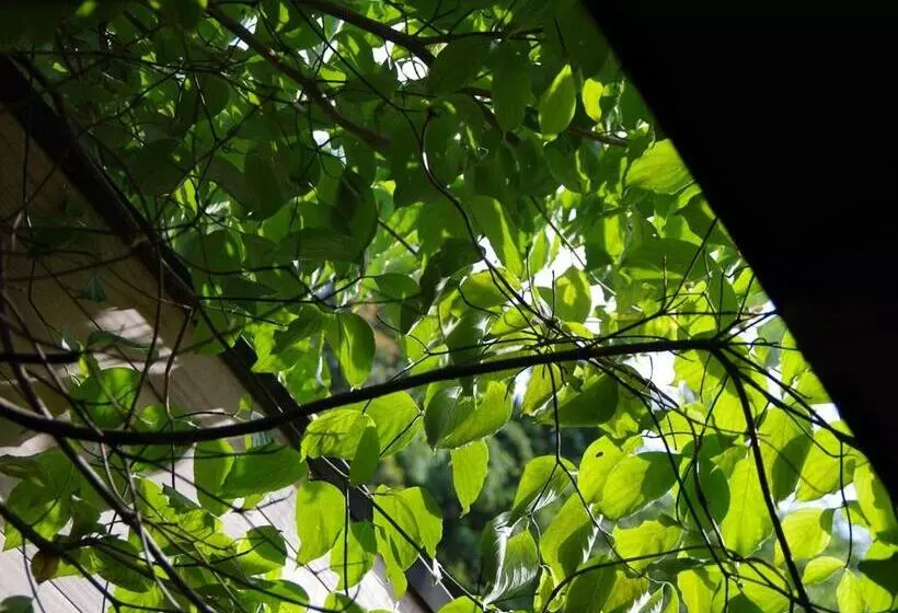 Ryokan あじ彩の宿小浜荘