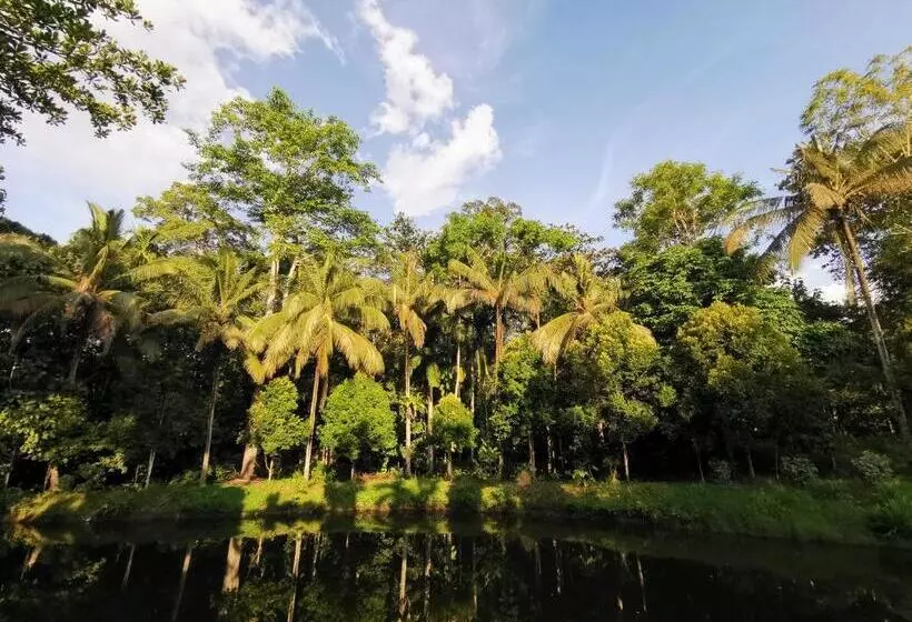 Sepilok Jungle Resort