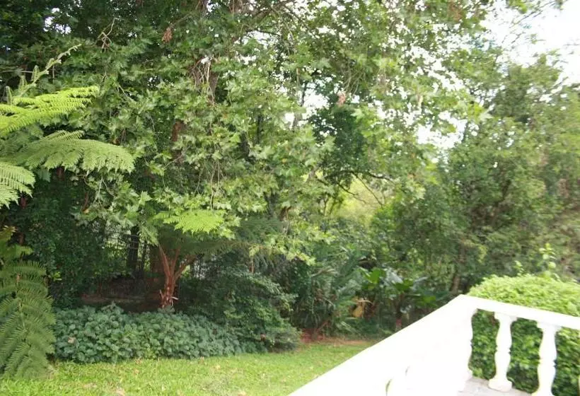 A Garden Suite B&b