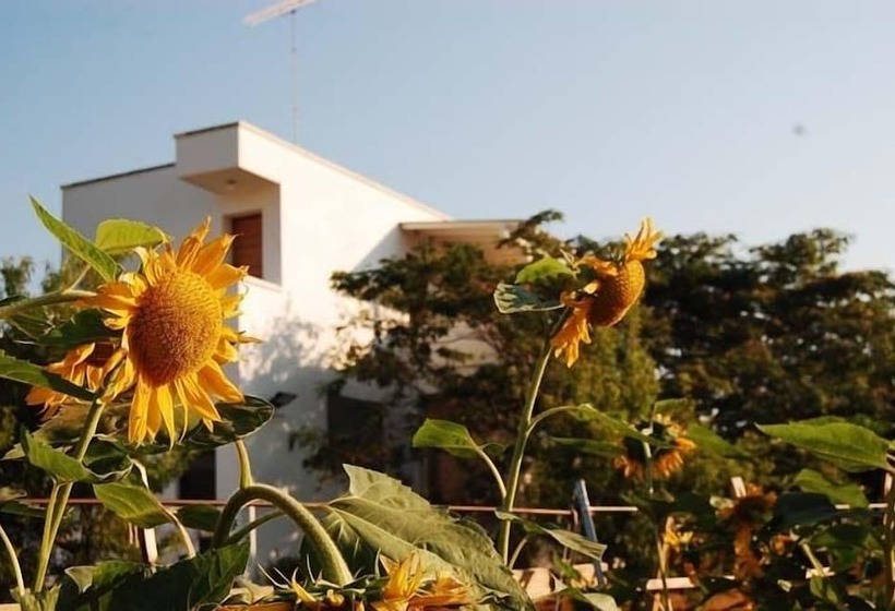 住宿加早餐 Casa Karina Sun&pool&relax