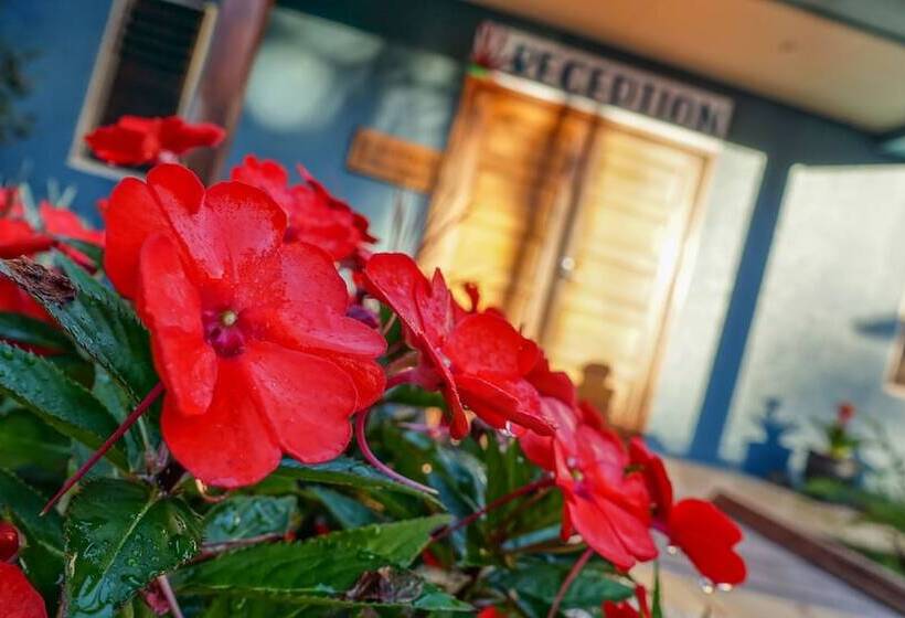 Blue Summit Hideaway