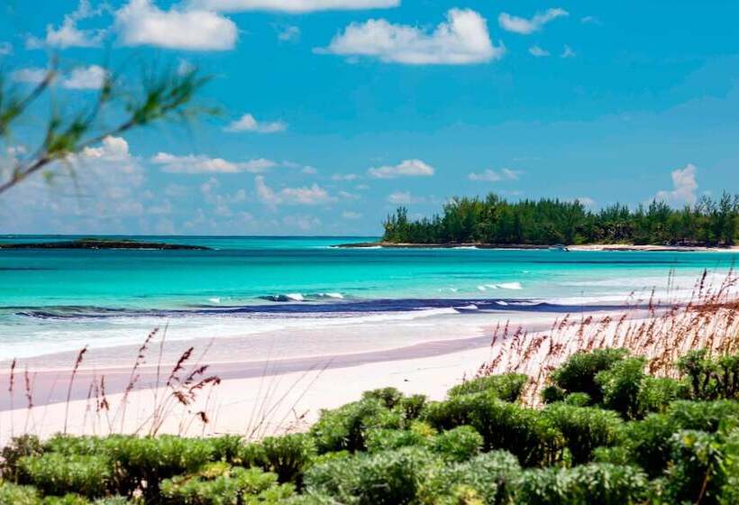 ホテル French Leave Resort, Autograph Collection