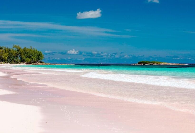 ホテル French Leave Resort, Autograph Collection