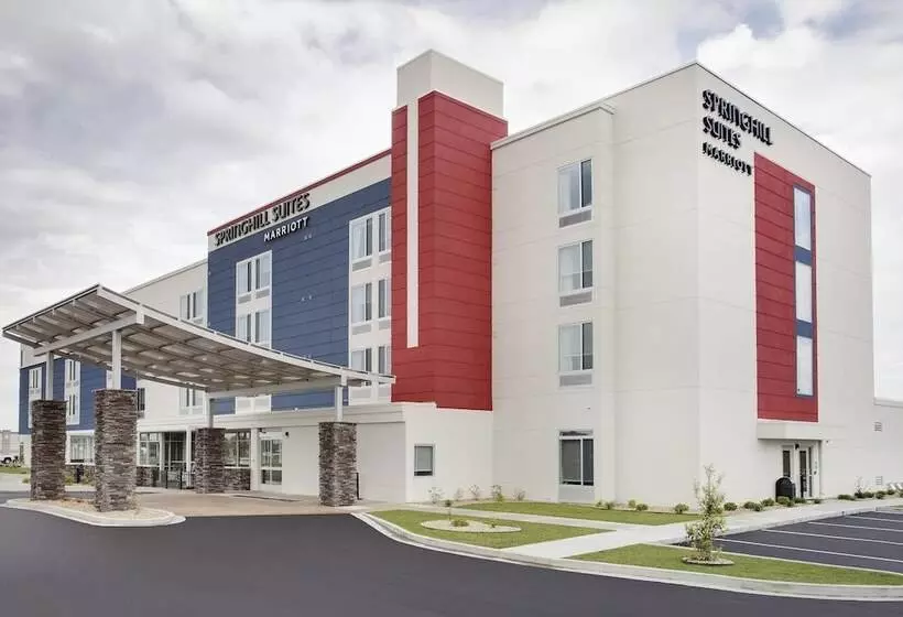 ホテル Springhill Suites By Marriott Murray