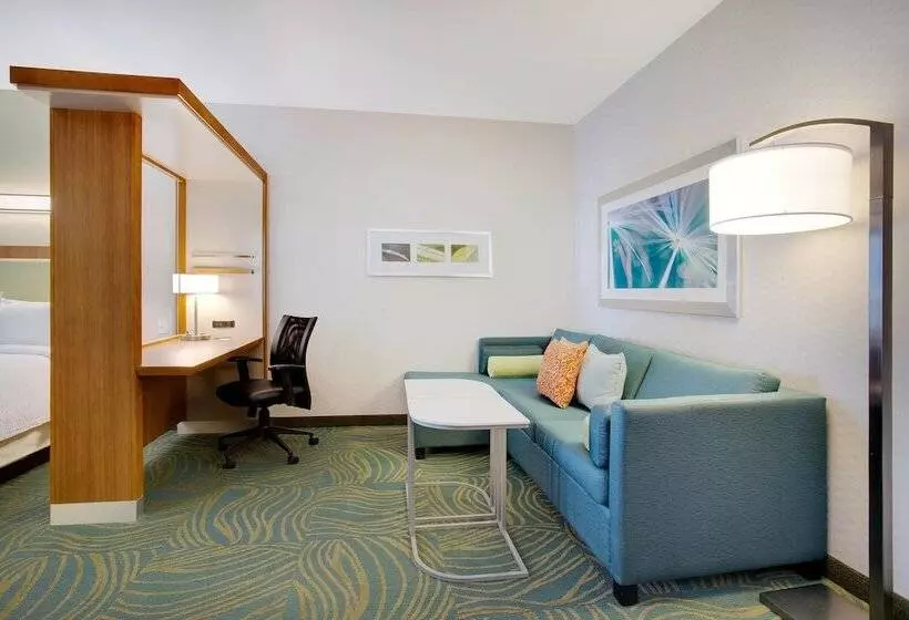 ホテル Springhill Suites By Marriott Murray