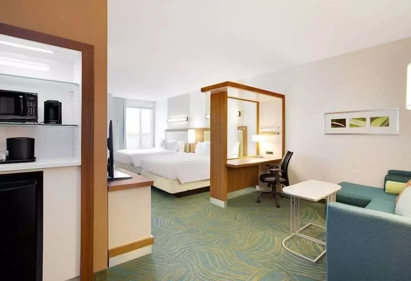 ホテル Springhill Suites By Marriott Murray