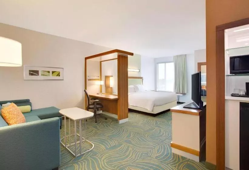 ホテル Springhill Suites By Marriott Murray