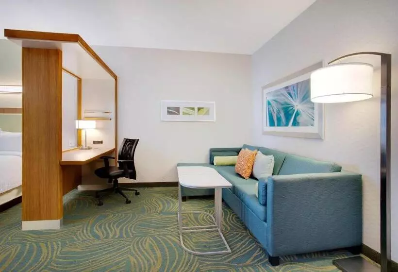 ホテル Springhill Suites By Marriott Murray