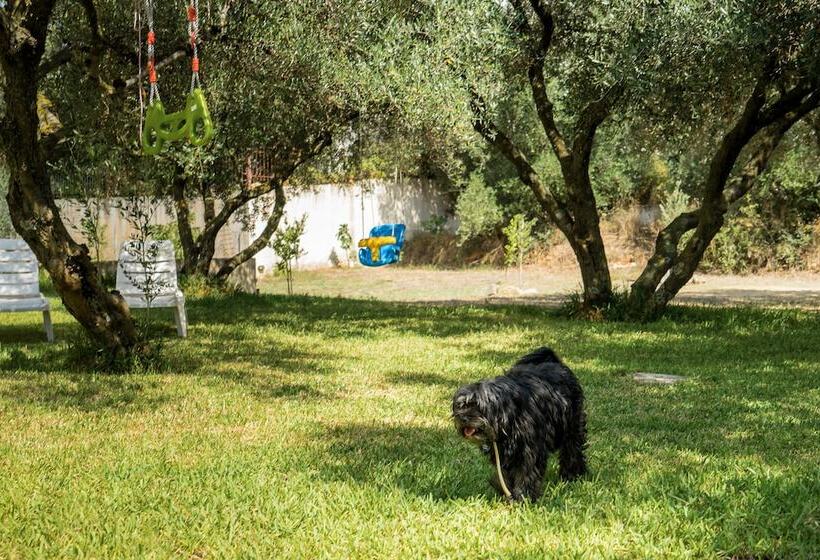 Koxyli Studios & Apartments