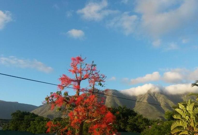 펜션 Flametree Guesthouse