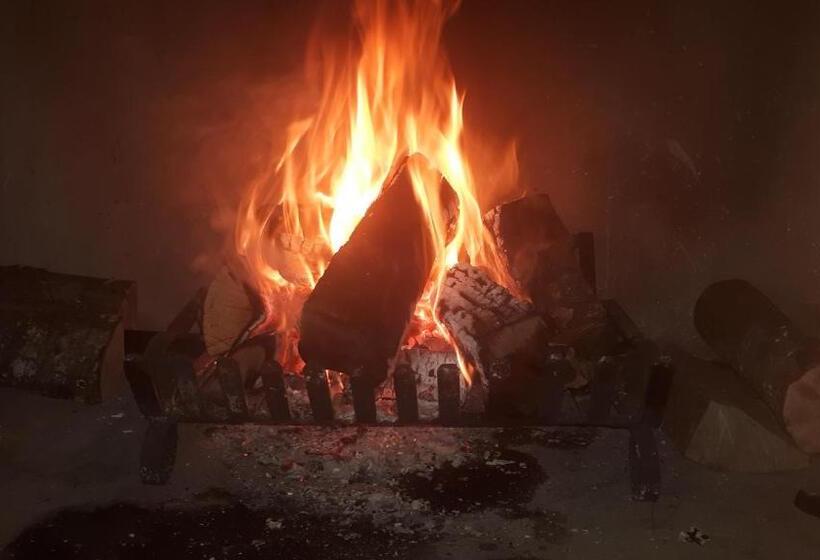 펜션 Flametree Guesthouse