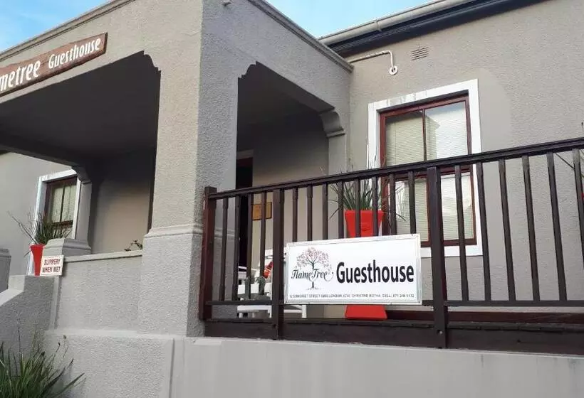 ペンション Flametree Guesthouse