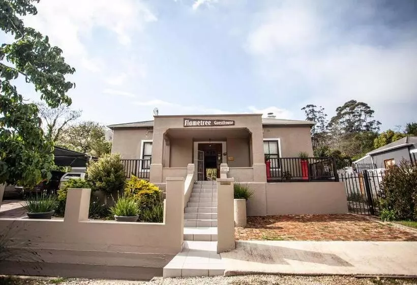 ペンション Flametree Guesthouse
