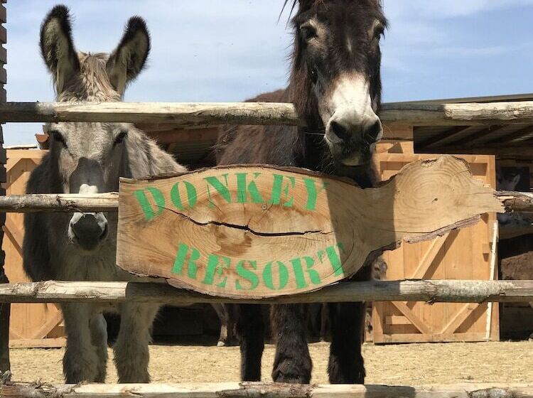 فندق La Locanda Paradiso