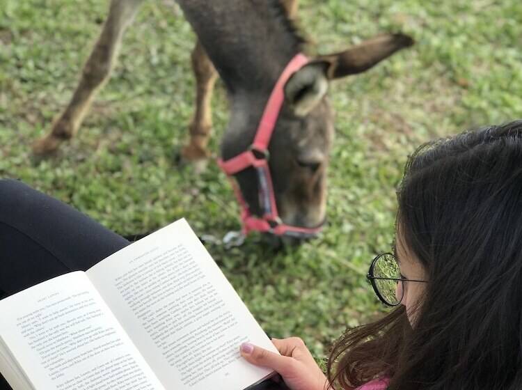 فندق La Locanda Paradiso