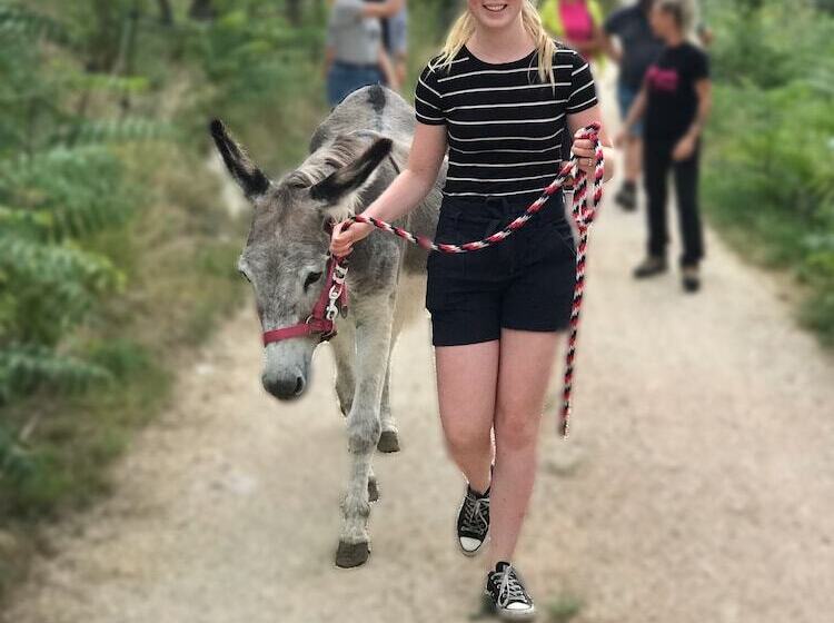 فندق La Locanda Paradiso