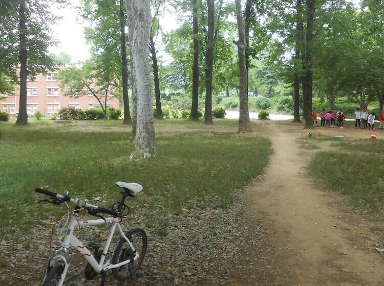 Pedro S House   Hostel