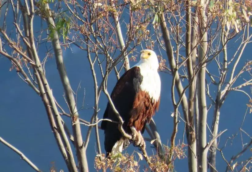 ペンション Springfontein Wine Estate Stanford River Lodge