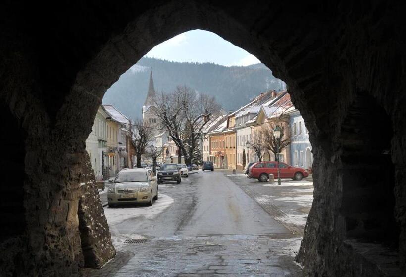 مبيت وإفطار Pension Geissler Reicher