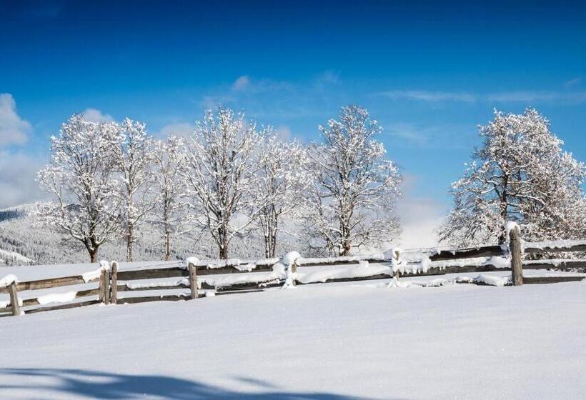 Hotell Alpenwelt Superior