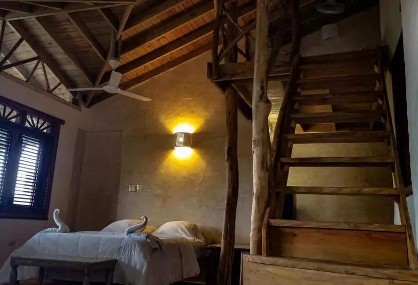 Hotelli Paraiso Caño Hondo