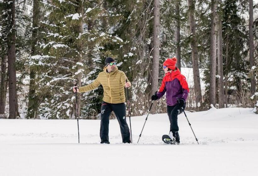 Отель Gästehaus Elmerhof
