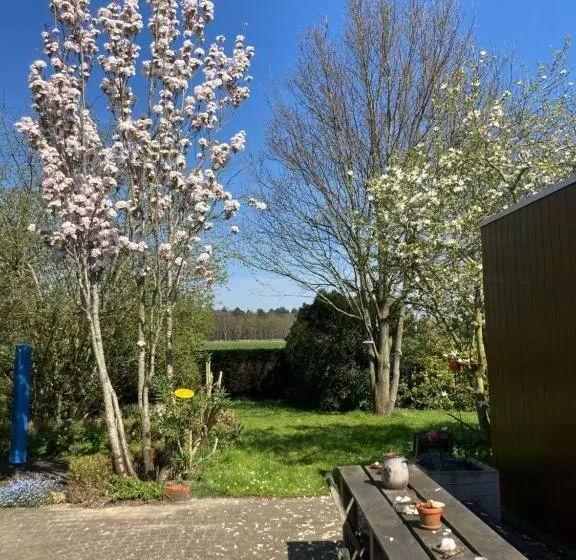 B&b Koornemoezen