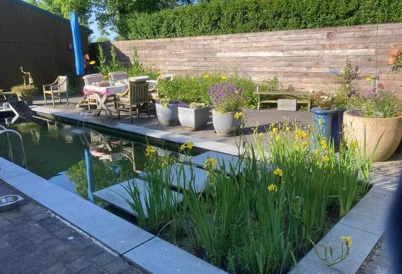 B&b Koornemoezen