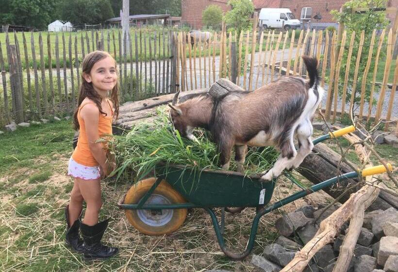 B&b La Douceur De La Miclette