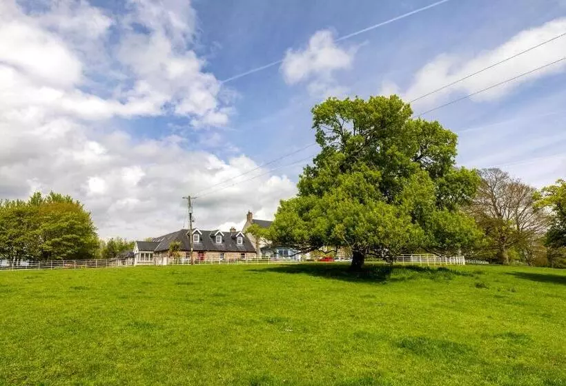 Aamiaismajoitus (B&B) Boyne View House