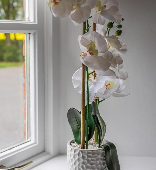 Bed and Breakfast Boyne View House