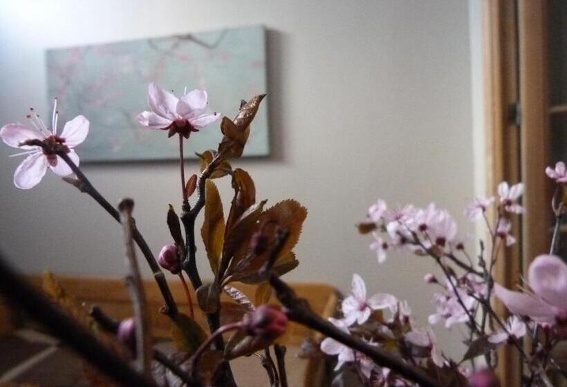 צימר Guesthouse Alizée