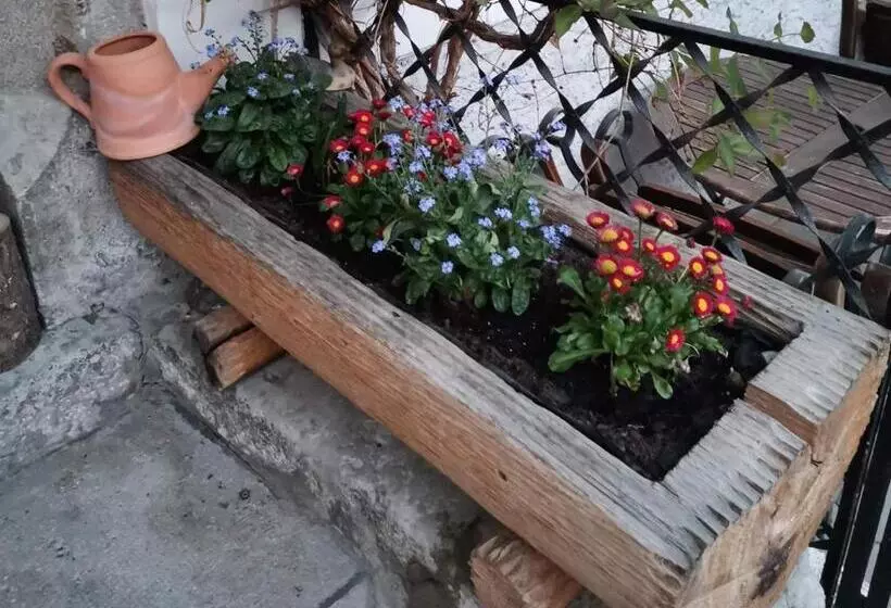 Aamiaismajoitus (B&B) Pension Leopoldine