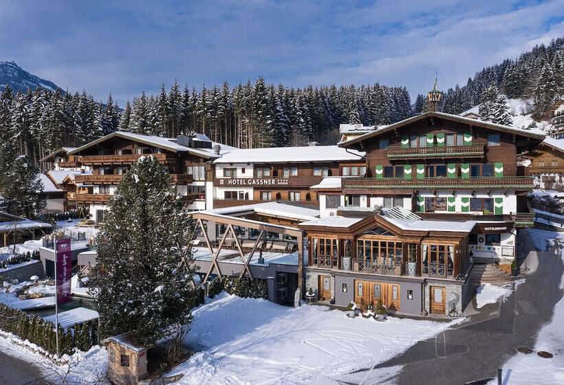 Отель Gassner 4 Sterne Superior