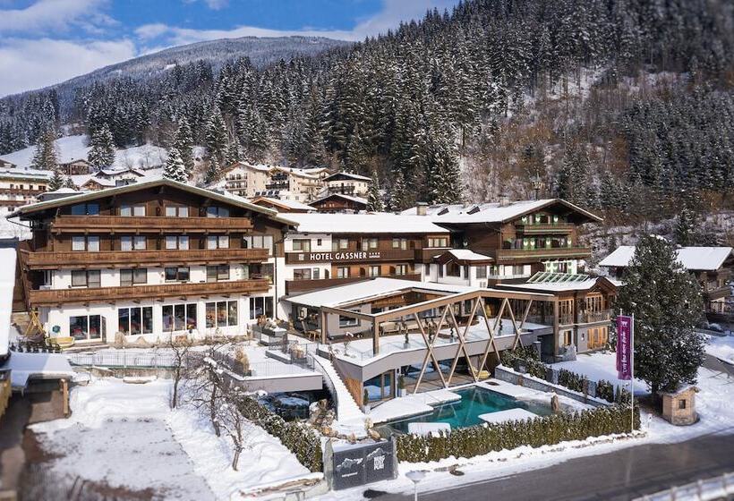 Отель Gassner 4 Sterne Superior