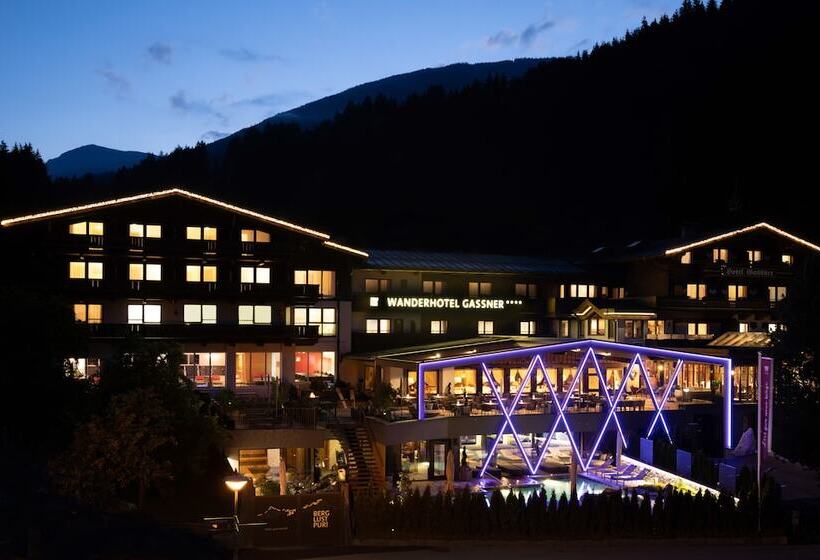 Отель Gassner 4 Sterne Superior