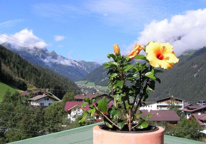 호텔 Ländenhof Superior