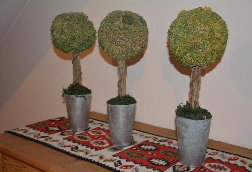 בית מלון כפרי Restaurant Fischer