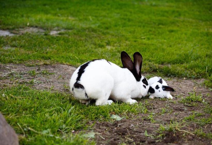 Aparthotel Holzerhof