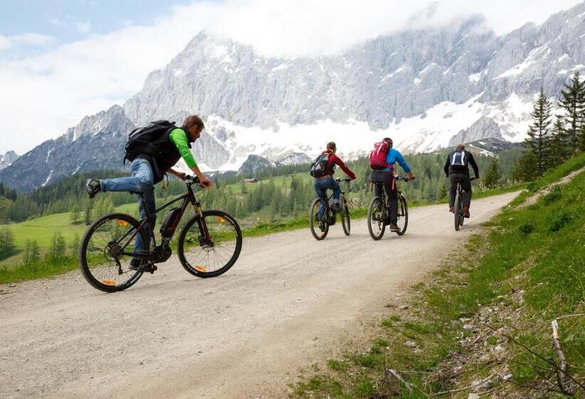 Aparthotel Holzerhof