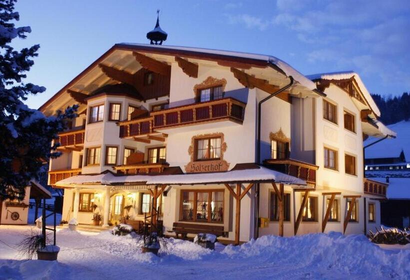 Aparthotel Holzerhof