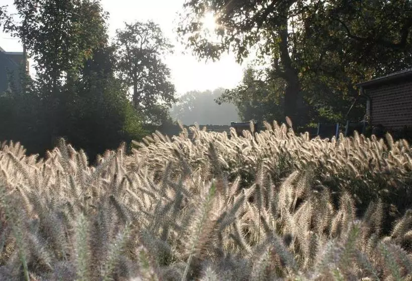 B&b De Rijcke Rust