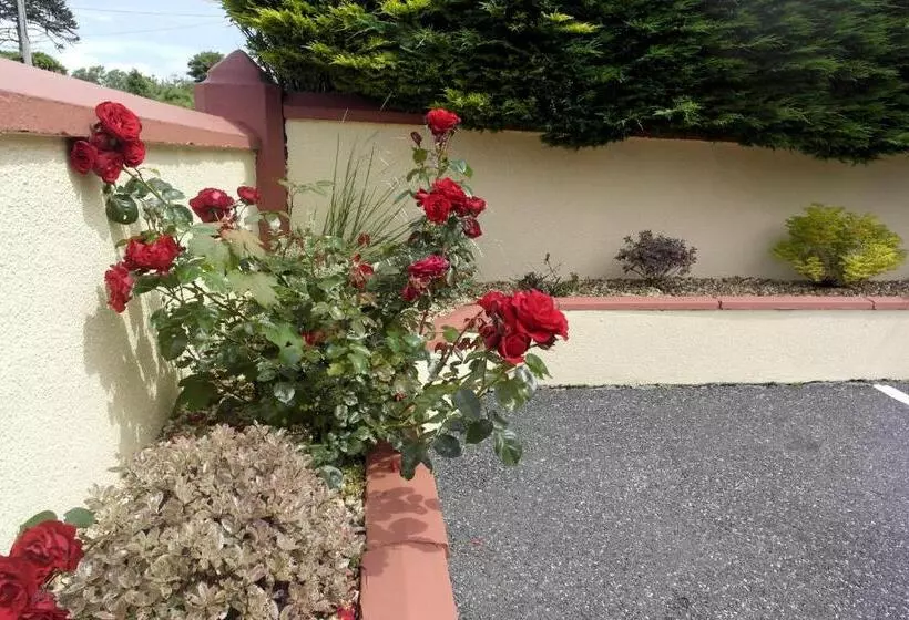 تختخواب و صبحانه Seacourt Accommodation Tramore   Adult Only