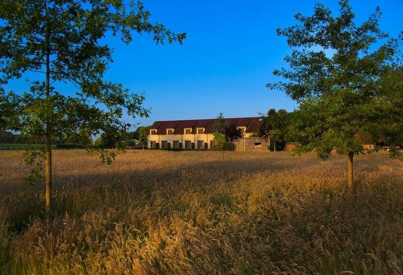 Country Lodge Hotel Moriaanshoofd