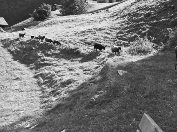 هتل Daneu Gaschurn